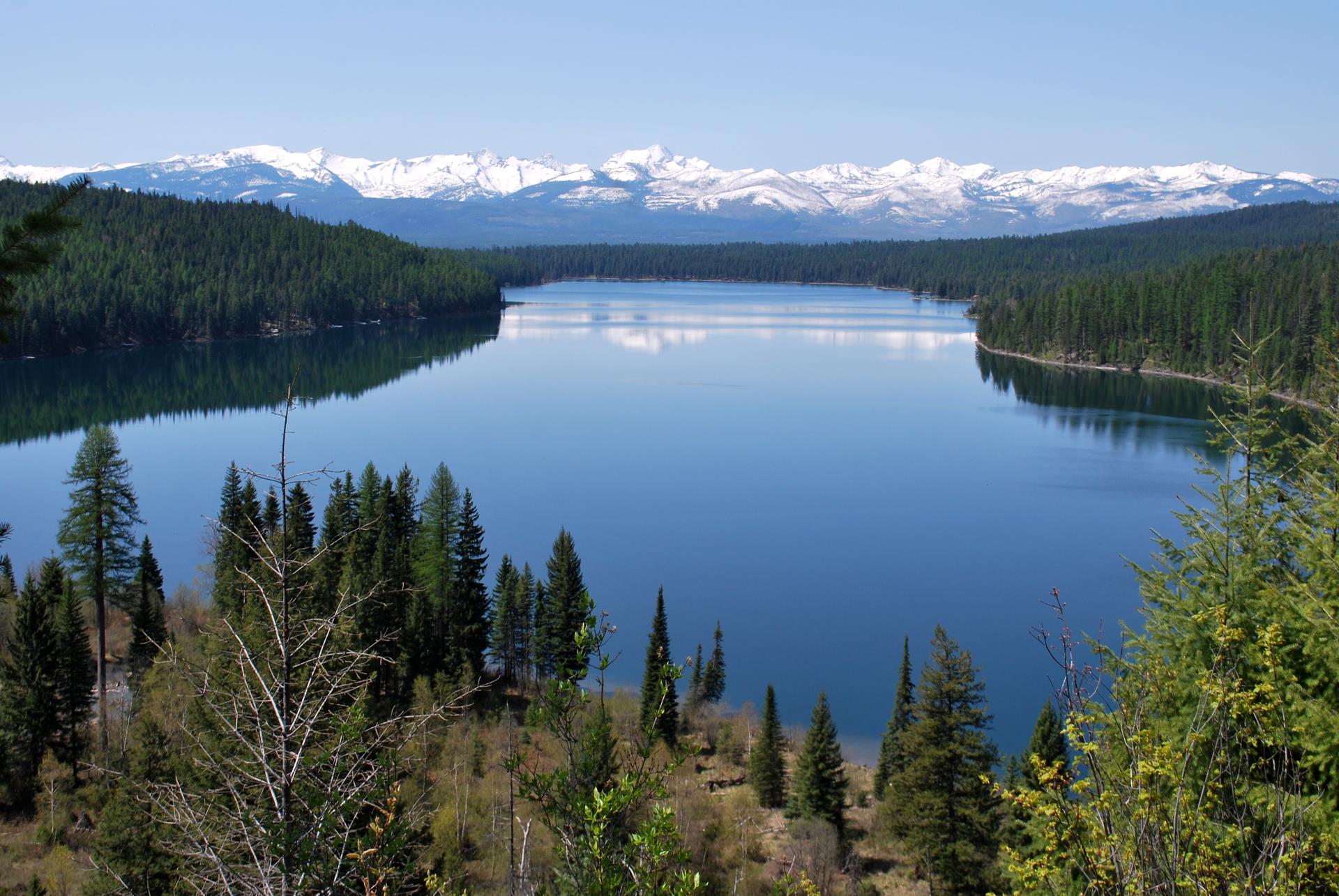 Holland Lake Surrounded By Green Trees And Snowcapped Mountains