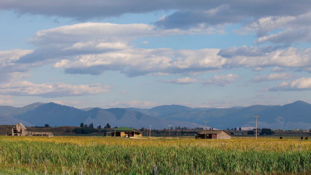 Grass West Valley Farm Landscape