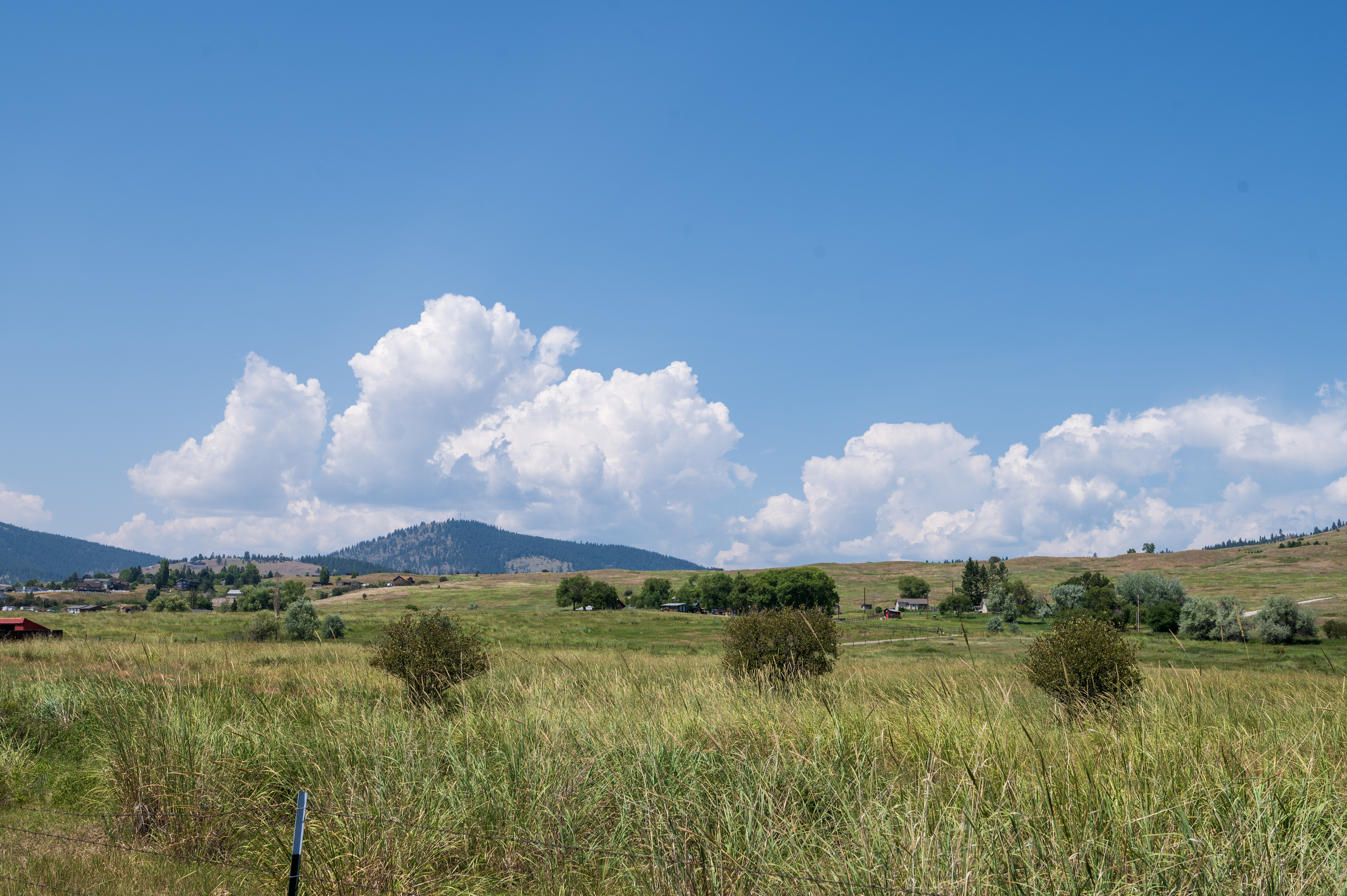 West Valley in summer